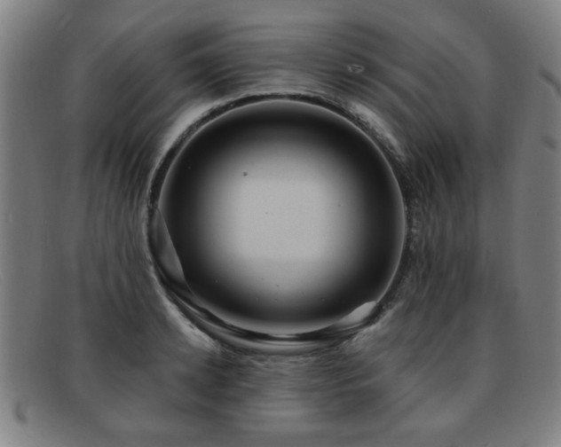 X0000092110942200709121615