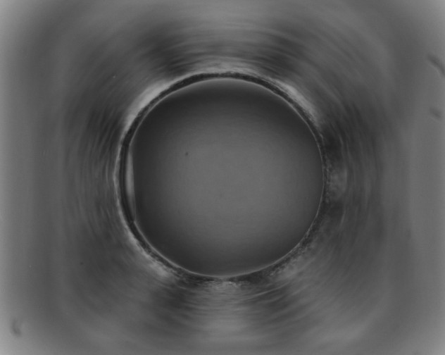 X0000092110943200709121615