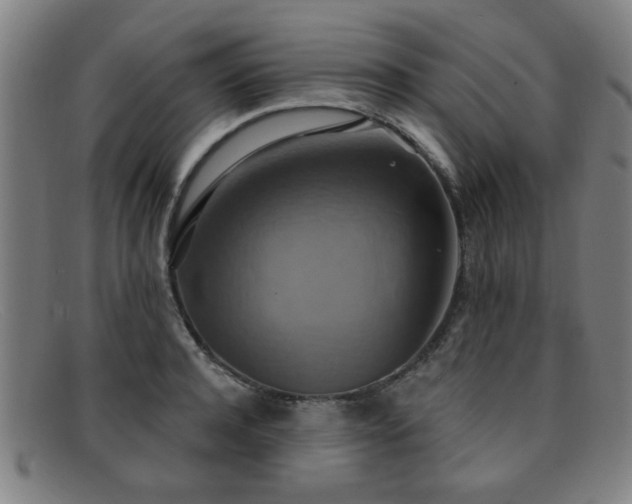 X0000092110944200709121615