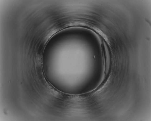 X0000092110945200709121615