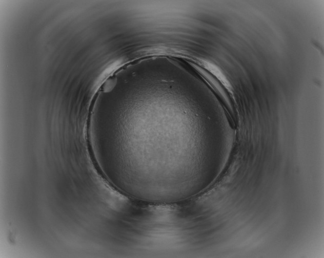 X0000092110946200709121615