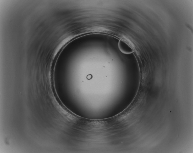 X0000092110947200709121615