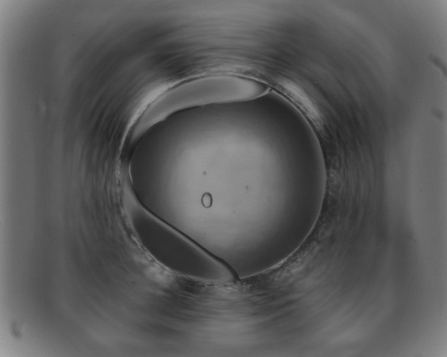 X0000092110948200709121615