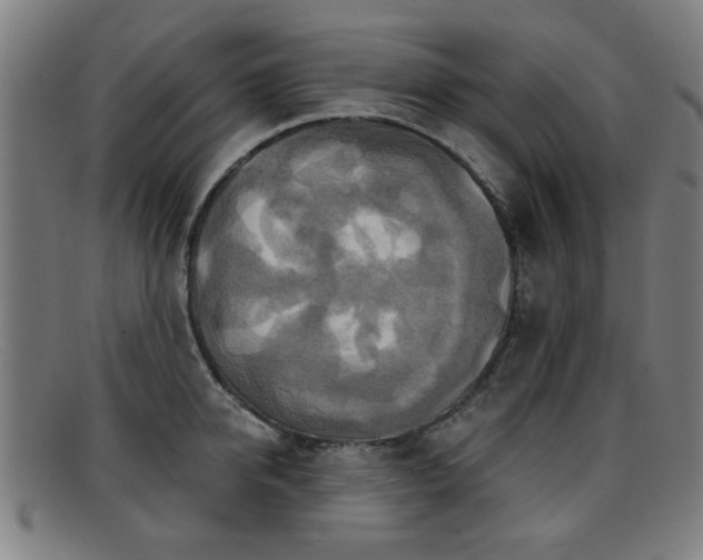 X0000092110950200709121615