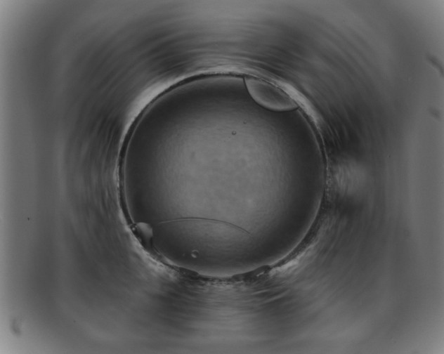 X0000092110951200709121615