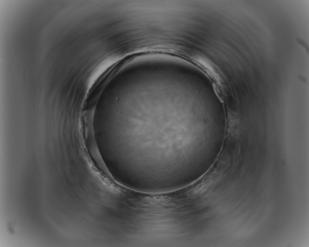 X0000092110952200709121615