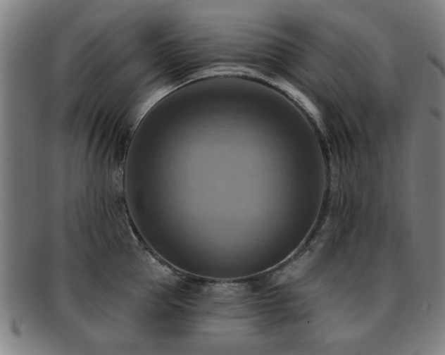 X0000092110953200709121616