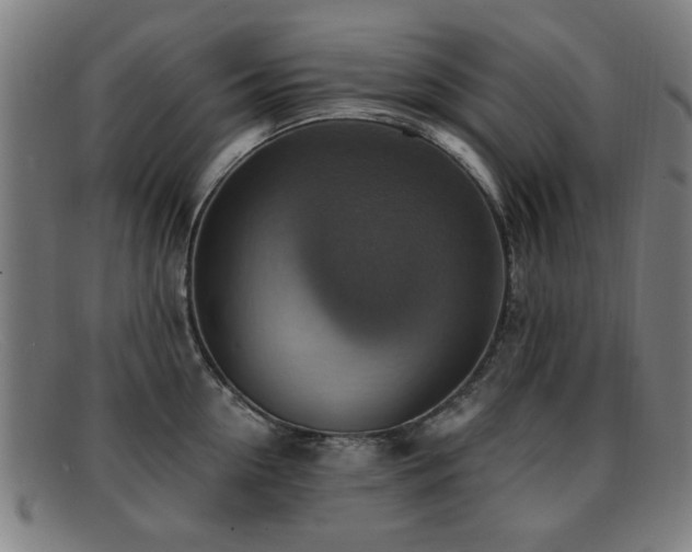 X0000092110954200709121616