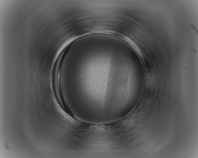 X0000092110955200709121616