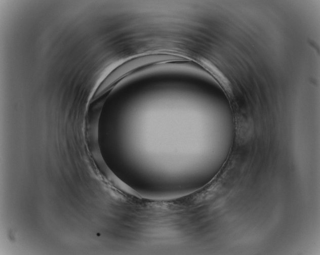 X0000092110956200709121616