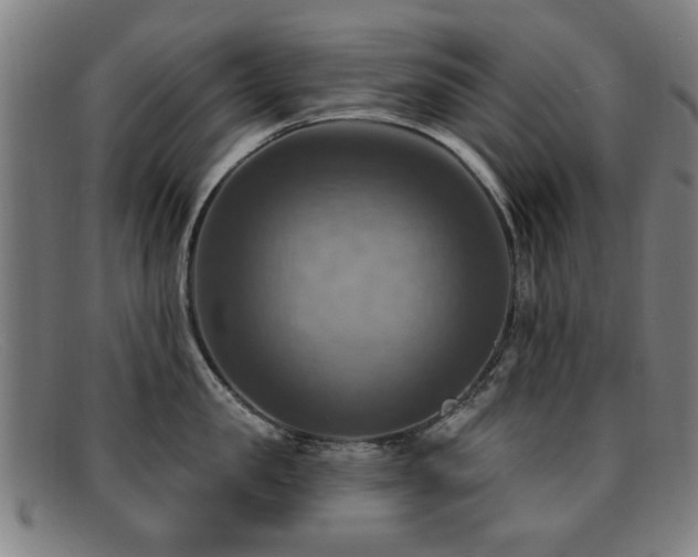 X0000092110957200709121616