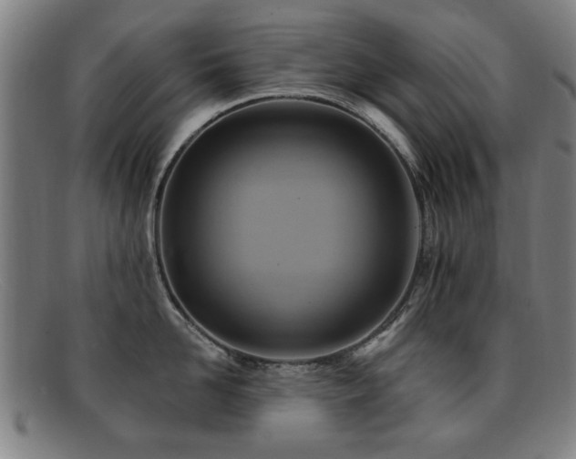 X0000092110958200709121616