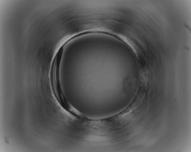 X0000092110959200709121616