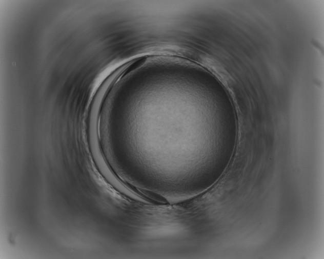 X0000092110960200709121616