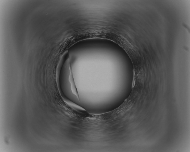 X0000092110961200709121615