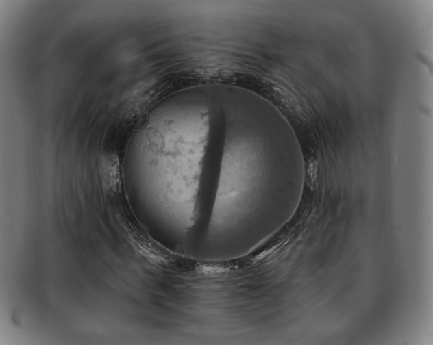 X0000092110963200709121615