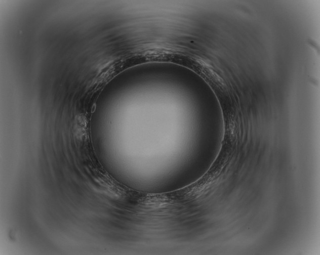 X0000092110964200709121615