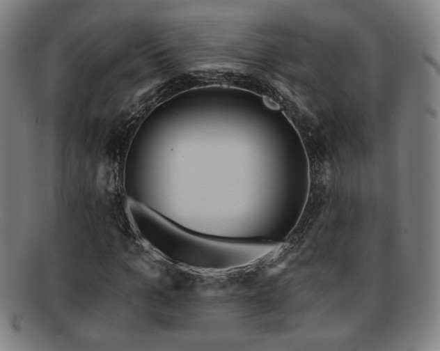 X0000092110965200709121615