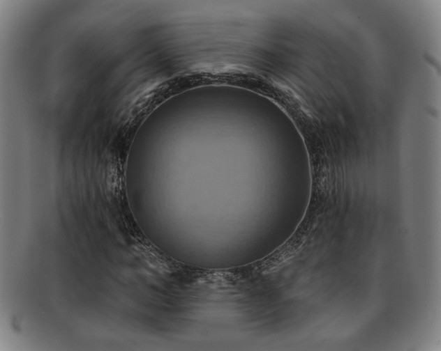 X0000092110966200709121615