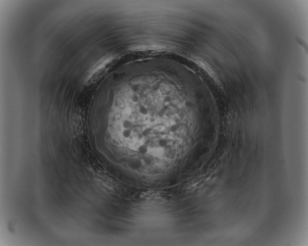 X0000092110967200709121615