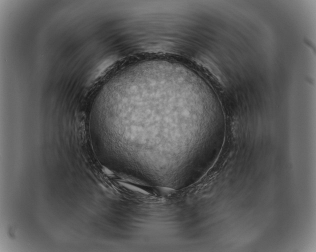 X0000092110968200709121615