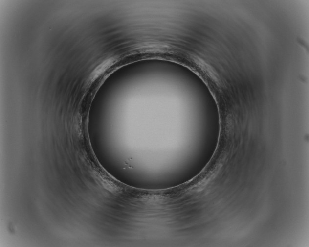 X0000092110970200709121615