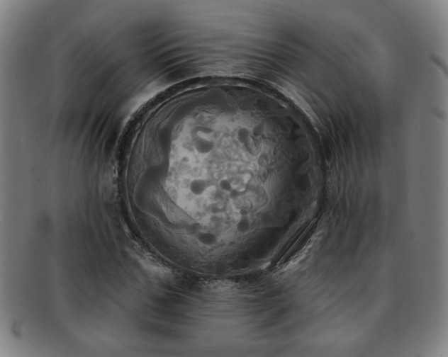 X0000092110971200709121615