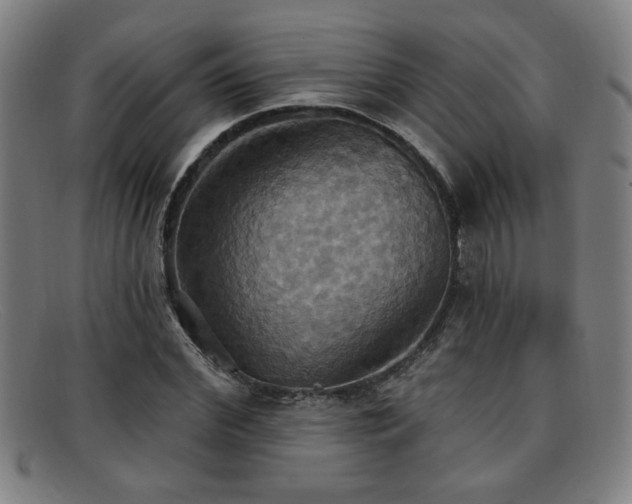 X0000092110972200709121615