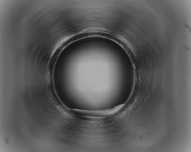 X0000092110973200709121615