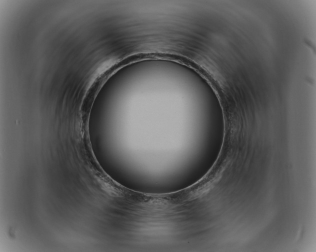 X0000092110974200709121615