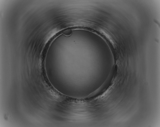 X0000092110975200709121615