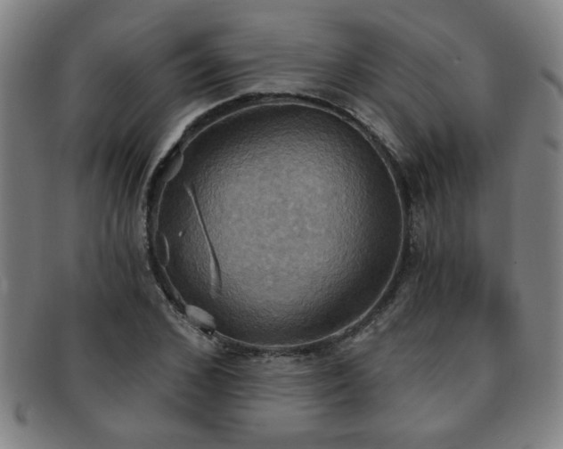 X0000092110976200709121615