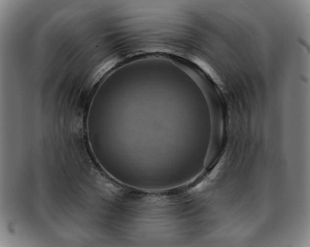 X0000092110977200709121615