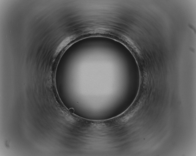 X0000092110978200709121615