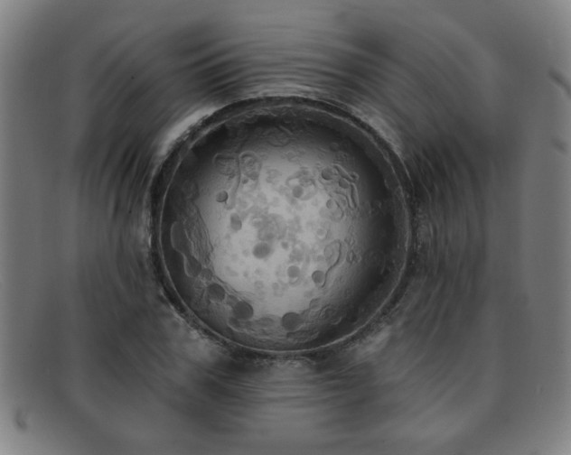 X0000092110979200709121615