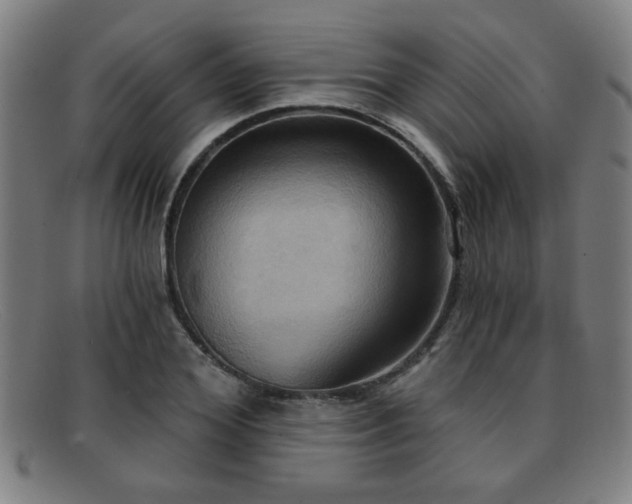 X0000092110980200709121615