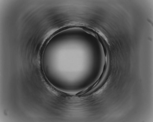 X0000092110981200709121615