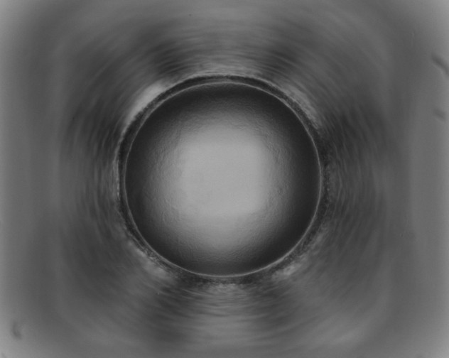 X0000092110982200709121615