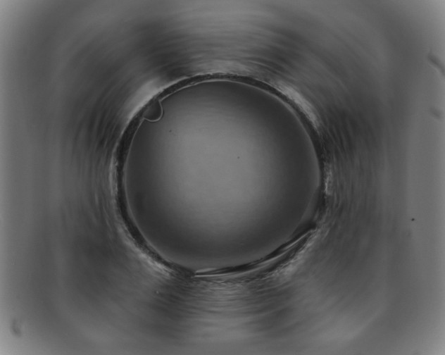 X0000092110983200709121615