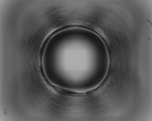 X0000092110984200709121615