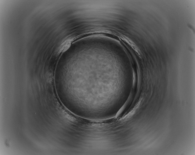 X0000092110985200709121615