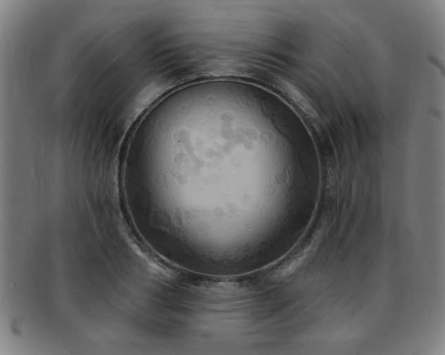 X0000092110986200709121615