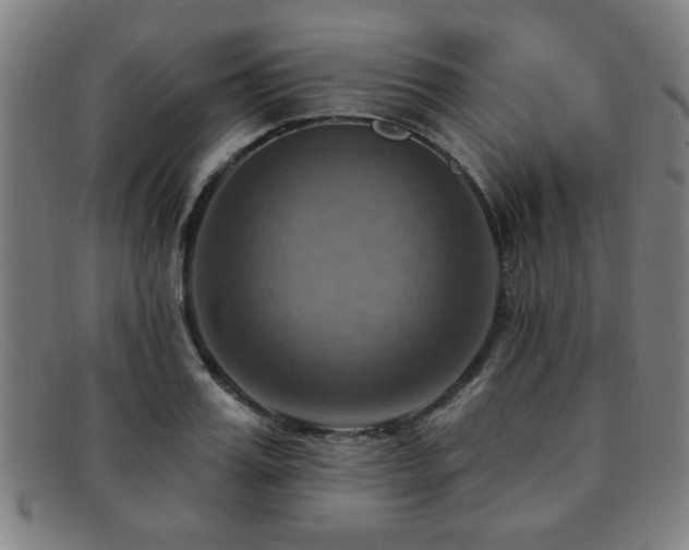 X0000092110987200709121615