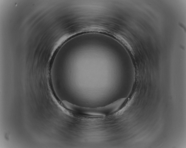 X0000092110989200709121615