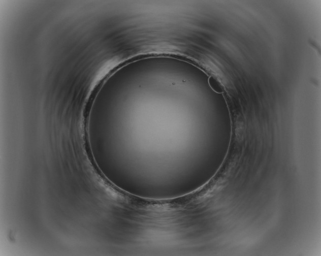 X0000092110990200709121615