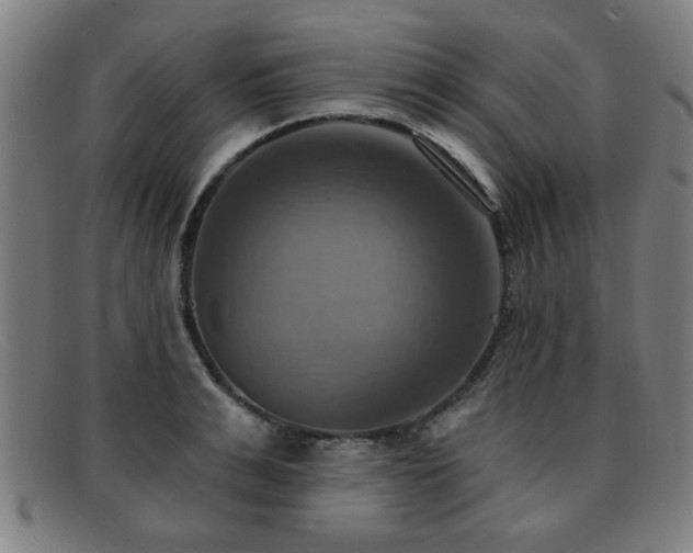 X0000092110991200709121615