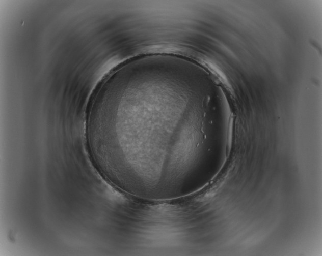 X0000092110992200709121615