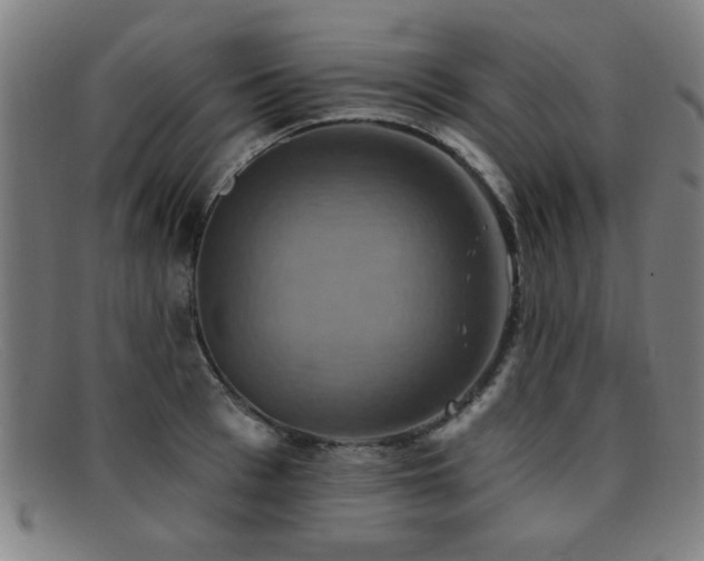 X0000092110993200709121615