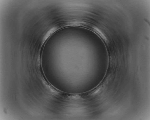 X0000092110994200709121615