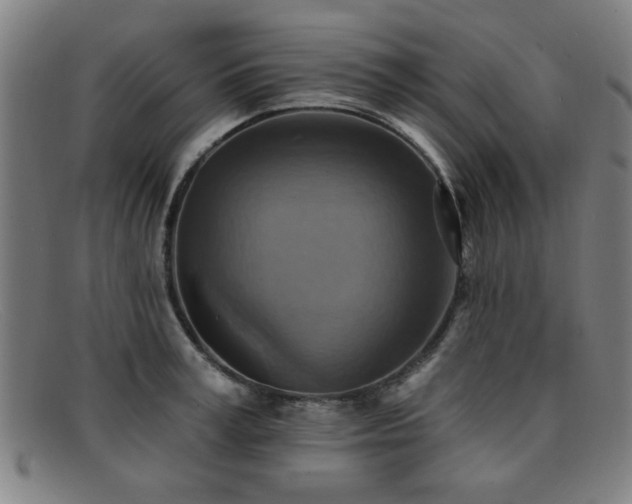 X0000092110995200709121615